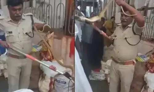 శ్రీకాళహస్తి ఆలయంలో పాము కలకలం