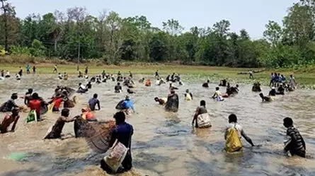 ఊరంతా చేపల వాసనే.! ఊరంతా చేపల వాసనే.!