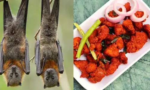 చైనా కాదు ఇండియాలో గబ్బిలాల మాంసంతో వంటకాలు..బయటపడిన షాకింగ్ నిజాలు