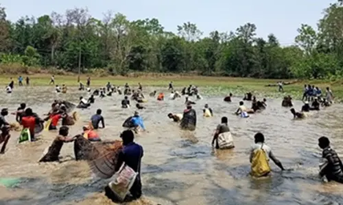 ఊరంతా చేపల వాసనే.!