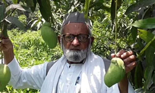 ఒకే చెట్టుపై 350 రకాల కాయలు పండించి లిమ్కా బుక్ ఆఫ్ రికార్డ్స్‌లోకి ఎక్కాడు.!