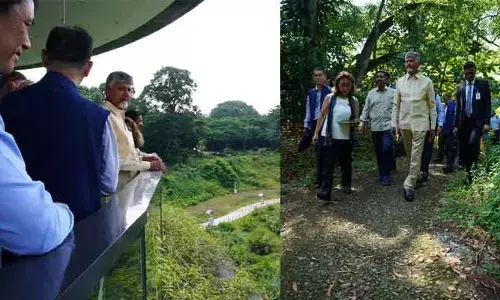 సింగపూర్‌లో రెండు గంటల పాటు కాలినడకన తిరిగిన ఏపీ సీఎం
