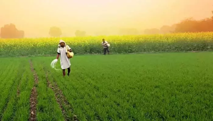రైతులకు గుడ్ న్యూస్.. అకౌంట్లో డబ్బులు జమ.. ఎప్పుడంటే? రైతులకు గుడ్ న్యూస్.. అకౌంట్లో డబ్బులు జమ.. ఎప్పుడంటే?