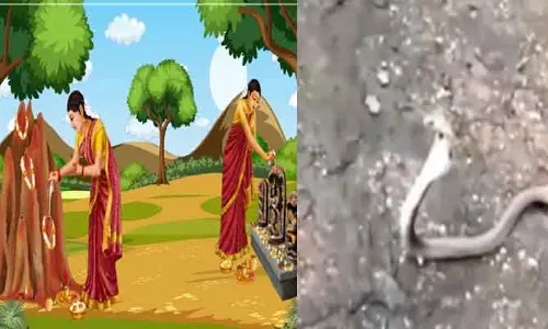 నాగ పంచమి స్పెషల్.. పుట్టలో పాము ఉందో.. లేదో.. కానీ, నెట్టింట మాత్రం ఫుల్ వైరల్!