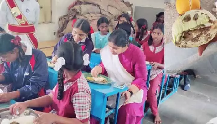 ఆ విషయంలో సీరియస్ అయిన కలెక్టర్.. మీ ఉద్యోగాలు ఉంటాయో,ఊడతాయో అని హెచ్చరిక! ఆ విషయంలో సీరియస్ అయిన కలెక్టర్.. మీ ఉద్యోగాలు ఉంటాయో,ఊడతాయో అని హెచ్చరిక!