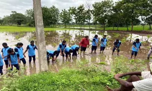 రైతులతో కలిసి వరి నాట్లు వేసిన విద్యార్థులు