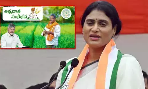 అది సుఖీభవ కాదు.. దుఃఖీభవ: ప్రభుత్వ పథకంపై వైఎస్ షర్మిల సెటైర్లు