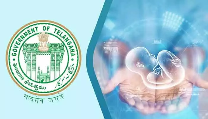 సృష్టి ఘటనతో సర్కార్ అప్రమత్తం.. 29 అంశాలతో కూడిన చెక్లిస్ట్ రెడీ సృష్టి ఘటనతో సర్కార్ అప్రమత్తం.. 29 అంశాలతో కూడిన చెక్లిస్ట్ రెడీ