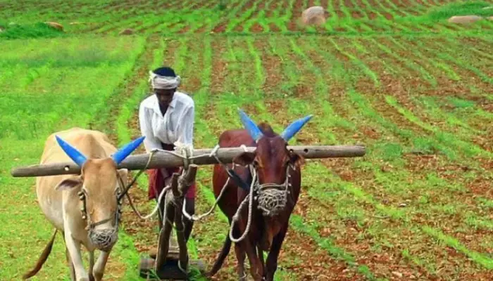 TG: రైతాంగానికి మహర్దశ
