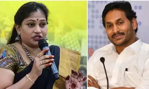 జగన్‌కు కేజీకి, టన్నుకు తేడా తెలియదు: హోంమంత్రి అనిత సెటైర్స్