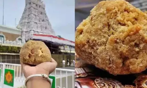 తిరుమల లడ్డూ నెయ్యి కల్తీ కేసులో పెను సంచలనం.. తప్పు ఒప్పుకున్న నిందితుడు