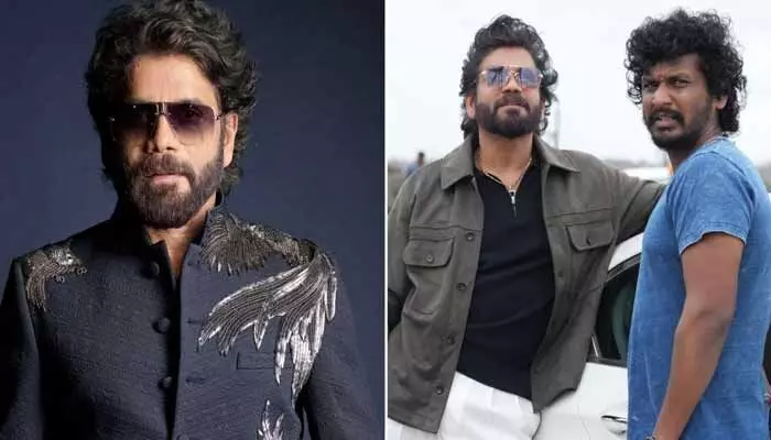 ఆ పదిహేను రోజులు సవాలుగా అనిపించింది.. నాగార్జున ఇంట్రెస్టింగ్ కామెంట్స్ ఆ పదిహేను రోజులు సవాలుగా అనిపించింది.. నాగార్జున ఇంట్రెస్టింగ్ కామెంట్స్