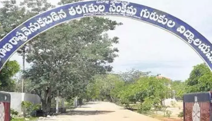 విద్యార్థినులకు రక్షణ ఏది...?