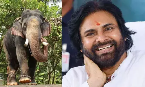 కుంకీ ఏనుగుల తొలి ఆపరేషన్ సక్సెస్.. DCM పవన్ కల్యాణ్ హర్షం