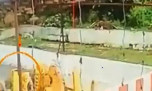 తిరుమలలో షాకింగ్ ఘటన.. సీసీ కెమెరాలో ఆ దృశ్యాలు రికార్డ్(వీడియో)