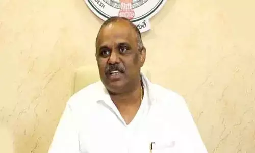 డెంగ్యూ కట్టడికి అధికారులు చర్యలు తీసుకోవాలి: మంత్రి అనగాని