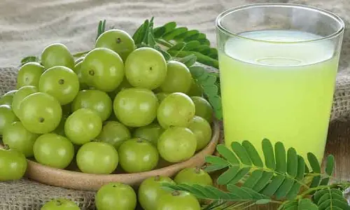 Health : ఉసిరితో హార్మోన్ల అసమతుల్యతకు చెక్.. ఇలా తింటే ఆ సమస్యలన్నీ పరార్..