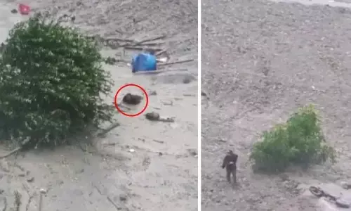 Viral: ధరాలీ వరదల్లో మృత్యుంజయుడు… బురదలో నుంచి సురక్షితంగా బయటకు