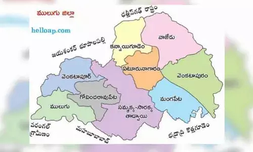 ములుగు జిల్లాకు తీపికబురు.. ‘నిర్భయ నిధి’ కింద రూ.10 కోట్లు మంజూరు