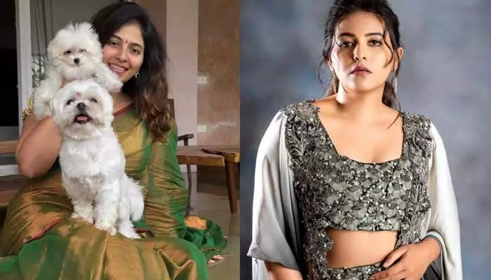వావ్.. చీరలో చాలా క్యూట్ లుక్లో దర్శనమిచ్చిన మెగా బ్యూటీ.. పోస్ట్ వైరల్ వావ్.. చీరలో చాలా క్యూట్ లుక్లో దర్శనమిచ్చిన మెగా బ్యూటీ.. పోస్ట్ వైరల్