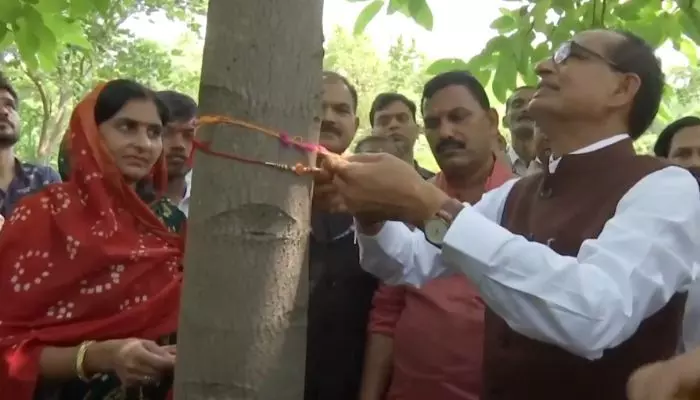చెట్టుకు రాఖీ కట్టిన కేంద్ర మంత్రి శివరాజ్ సింగ్ చౌహాన్! చెట్టుకు రాఖీ కట్టిన కేంద్ర మంత్రి శివరాజ్ సింగ్ చౌహాన్!