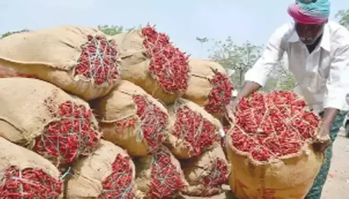 ఎర్ర బంగారంపై సిండికేట్ కన్ను..!