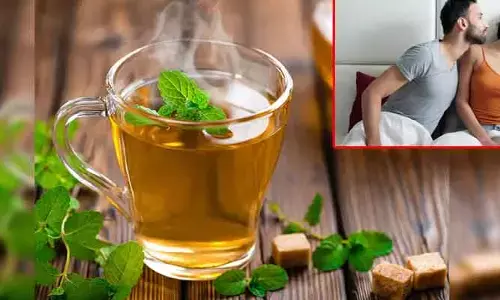Green tea effect : గ్రీన్ టీతో పురుషుల్లో టెస్టో స్టెరాన్ బూస్ట్ : సెక్స్ కోరికలు పెరిగే సీక్రెట్ వెల్లడి!