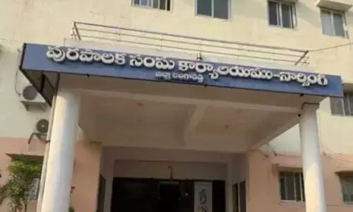 విలాసవంతమైన నిర్మాణాలు.. పెద్దల పేరుతో దమ్కీలు