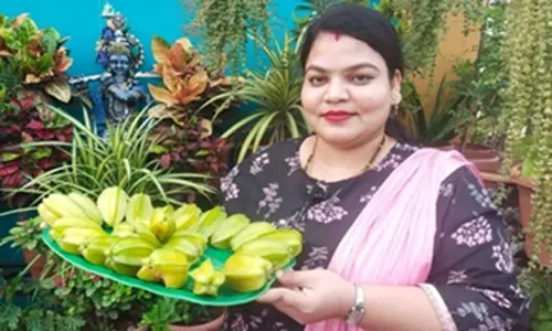 ఇంటి టెర్రస్‌పై 85 రకా ఔషధ మొక్కల తోటను సృష్టించింది