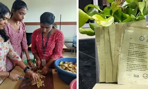 కలుపును కాగితంగా మార్చింది.!
