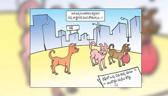 Disha Cartoon: సుప్రీంకోర్టు తీర్పుతో వలసపోతున్న వీధి కుక్కలు Disha Cartoon: సుప్రీంకోర్టు తీర్పుతో వలసపోతున్న వీధి కుక్కలు