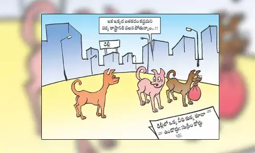 Disha Cartoon: సుప్రీంకోర్టు తీర్పుతో వలసపోతున్న వీధి కుక్కలు
