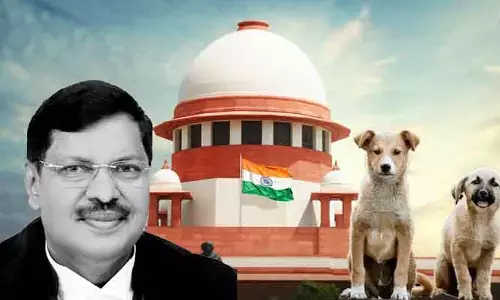 ఢిల్లీ వీధుల్లో కుక్కలపై ఉత్తర్వులు.. సీజే బీఆర్‌ గవాయ్‌ సంచలన వ్యాఖ్యలు