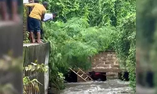 గొర్రెల కోసం వెళ్లి నాలాలో పడిపోయిన వ్యక్తి