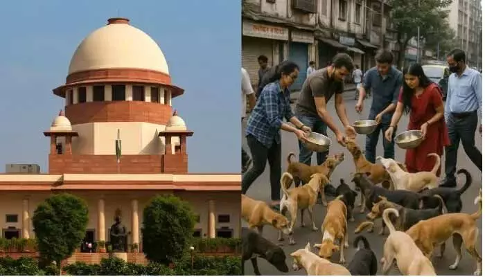 Supreme Court: మాంసాహారులు కూడా జంతుప్రేమికులమని ప్రకటించుకుంటున్నారు:సొలిసిటర్ జనరల్ Supreme Court: మాంసాహారులు కూడా జంతుప్రేమికులమని ప్రకటించుకుంటున్నారు:సొలిసిటర్ జనరల్