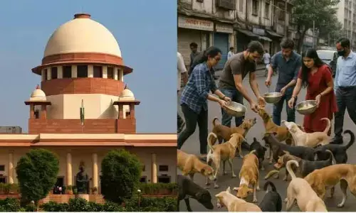 Supreme Court: మాంసాహారులు కూడా జంతుప్రేమికులమని ప్రకటించుకుంటున్నారు:సొలిసిటర్‌ జనరల్‌