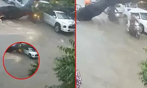 Viral : వర్ష బీభత్సం.. ఒక్కసారిగా విరిగి మీదపడ్డ వేపచెట్టు.. తండ్రీ కూతుళ్ల పరిస్థితి ఘోరం!
