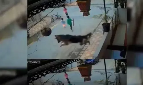 Viral video: చిన్న పిల్లలపై వీధి కుక్క దాడి.. సూపర్ హీరో రేంజ్‌లో కాపాడిన మరో శునకం