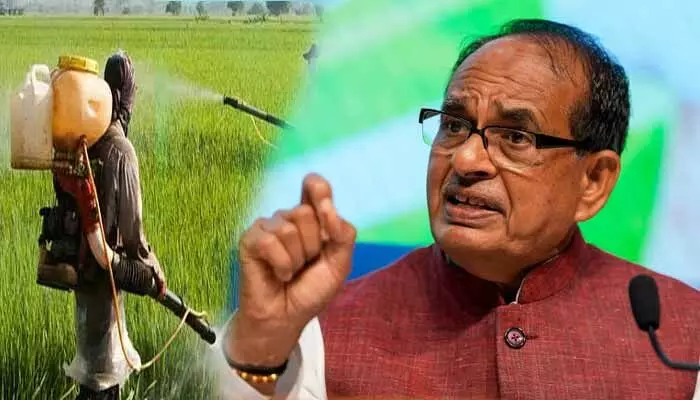 fake seeds: నకిలీ విత్తనాలు, ఫెర్టిలైజర్స్ కంపెనీలకు కేంద్రం వార్నింగ్ fake seeds: నకిలీ విత్తనాలు, ఫెర్టిలైజర్స్ కంపెనీలకు కేంద్రం వార్నింగ్
