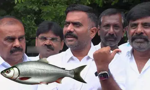రెండేళ్లలో అమరావతిలో పులస చేపలు దొరుకుతాయి.. మాజీ ఎమ్మెల్యే కేతిరెడ్డి వివాదాస్పద వ్యాఖ్యలు