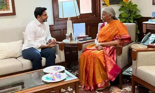 రాష్ట్ర సమస్యలపై మంత్రి లోకేశ్ ఫోకస్: ఢిల్లీలో కేంద్రమంత్రులతో కీలక చర్చలు