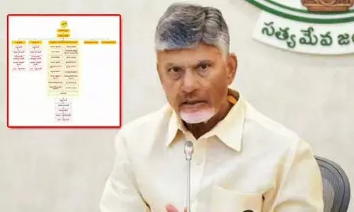 గెలుపే లక్ష్యంగా వ్యూహాలు.. పార్టీ ప్రతినిధులకు సీఎం చంద్రబాబు కీలక సూచనలు