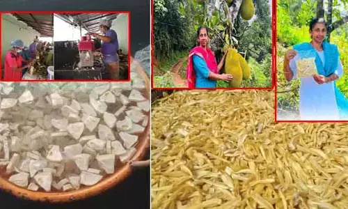 పనస ప్రొడక్ట్స్‌తో రూ.8 లక్షల ఆదాయం.. 57 ఏళ్ల వయసులో రాణి విజయమిది