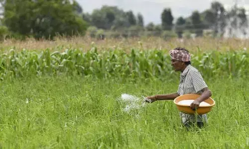 పురుగు మందు కొంటేనే యూరియా!