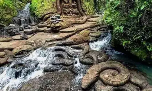 Snake Waterfall : ఓర్నాయనో.. ఈ వీడియో చూస్తే షాకవ్వాల్సిందే ఎవరైనా..! ఆ జలపాతం వద్ద కనిపించిన దృశ్యాలను చూస్తే..