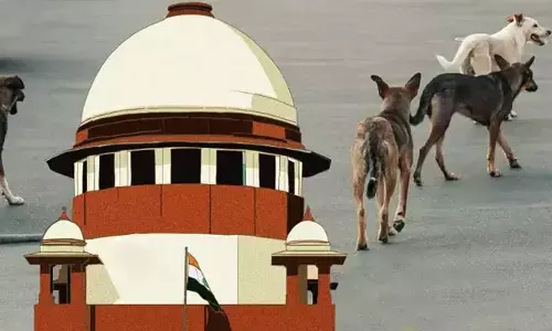 కుక్క కాటుకి తీర్పు దెబ్బ