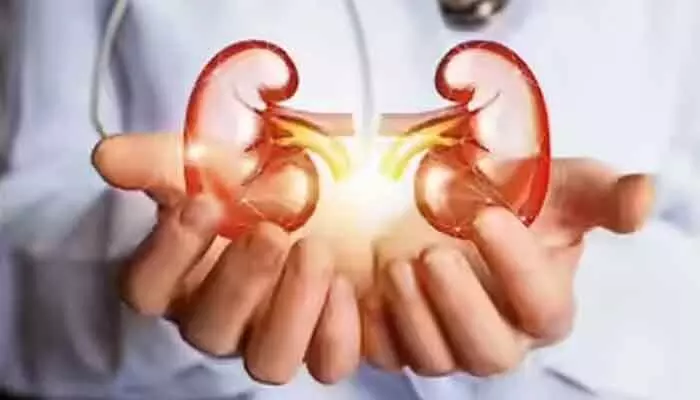 కిడ్నీ రాకెట్ కేసులలో మరో నిందితుడి అరెస్ట్ కిడ్నీ రాకెట్ కేసులలో మరో నిందితుడి అరెస్ట్