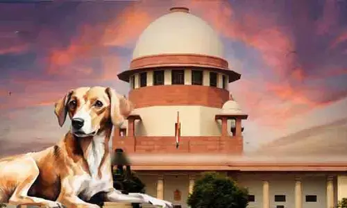 వీధి కుక్కల తరలింపు వ్యవహారం.. సుప్రీం ధర్మాసనం కీలక తీర్పు