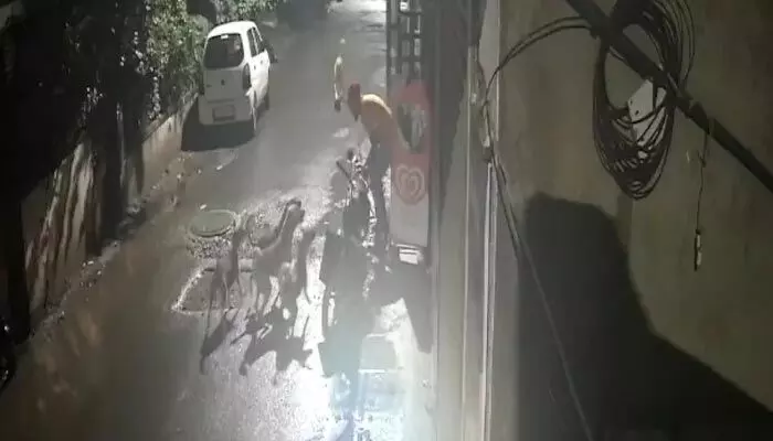Stray Dogs: వామ్మో.. యువకుడిపై 7 వీధి కుక్కలు దాడి.. బైక్ తోసినా వదల్లేదు.. ఎలా తప్పించుకున్నాడంటే? Stray Dogs: వామ్మో.. యువకుడిపై 7 వీధి కుక్కలు దాడి.. బైక్ తోసినా వదల్లేదు.. ఎలా తప్పించుకున్నాడంటే?