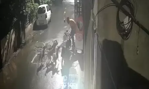 Stray Dogs: వామ్మో.. యువకుడిపై 7 వీధి కుక్కలు దాడి.. బైక్ తోసినా వదల్లేదు.. ఎలా తప్పించుకున్నాడంటే?